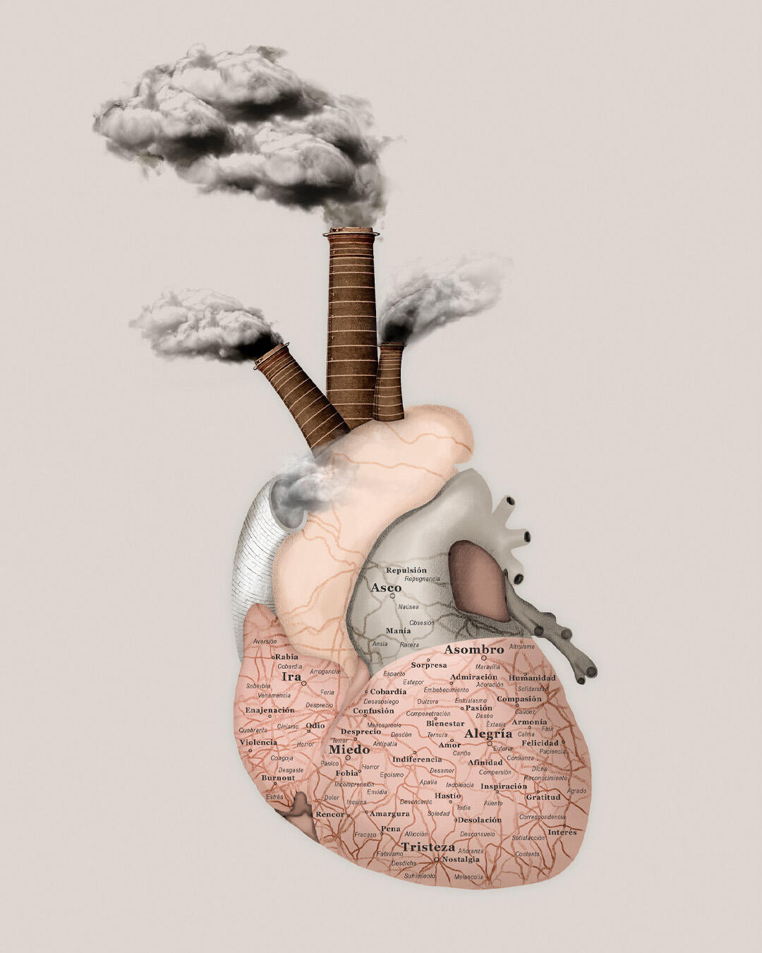 La memoria del corazón